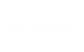 DeepSeek